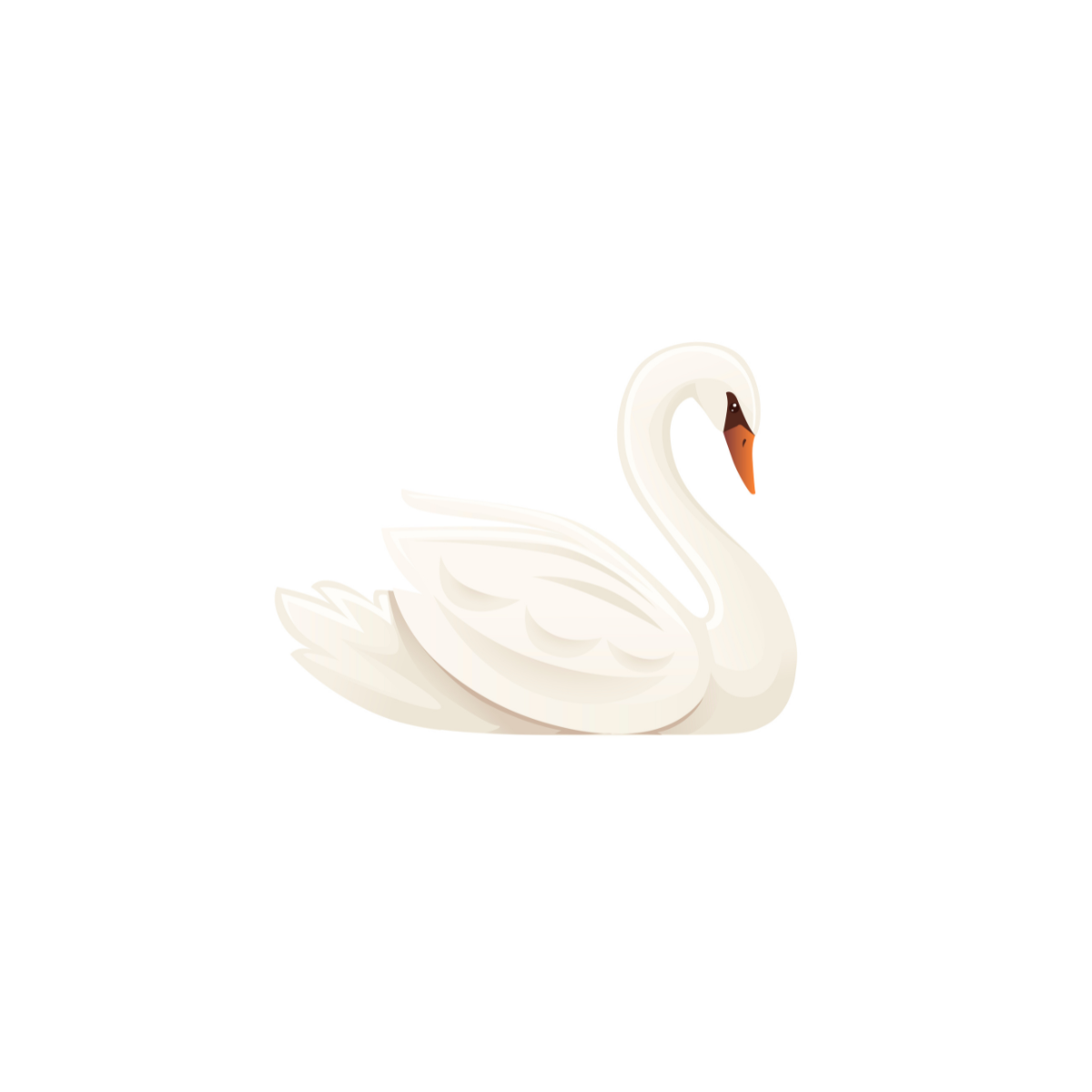 Swan visual data 7